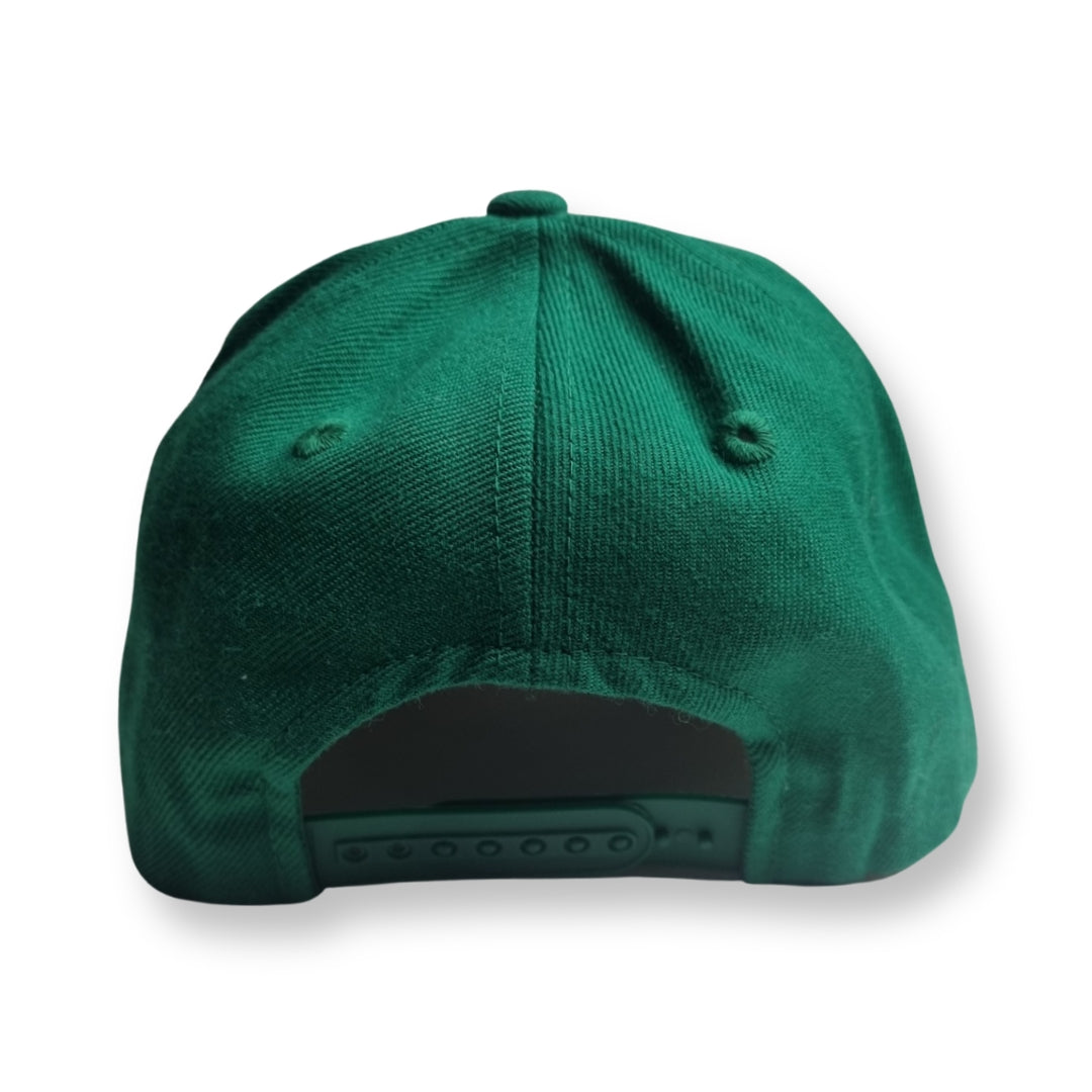 Michigan State Spartans Snapback