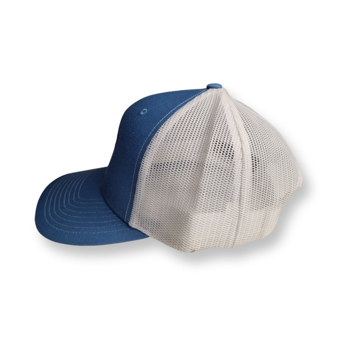 Richardson Wilmington Sharks NC Baseball Snapback