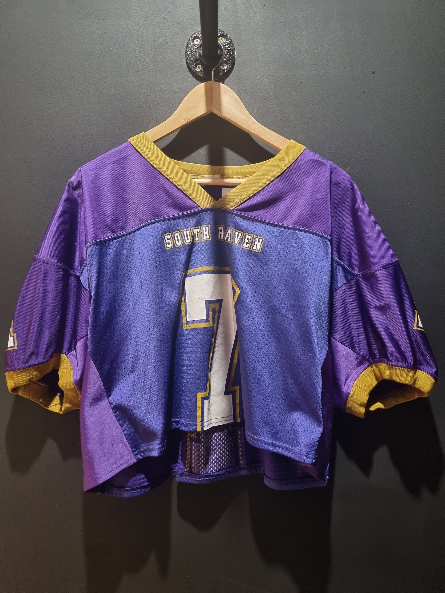 South Haven College Football Cropped Jersey Large
