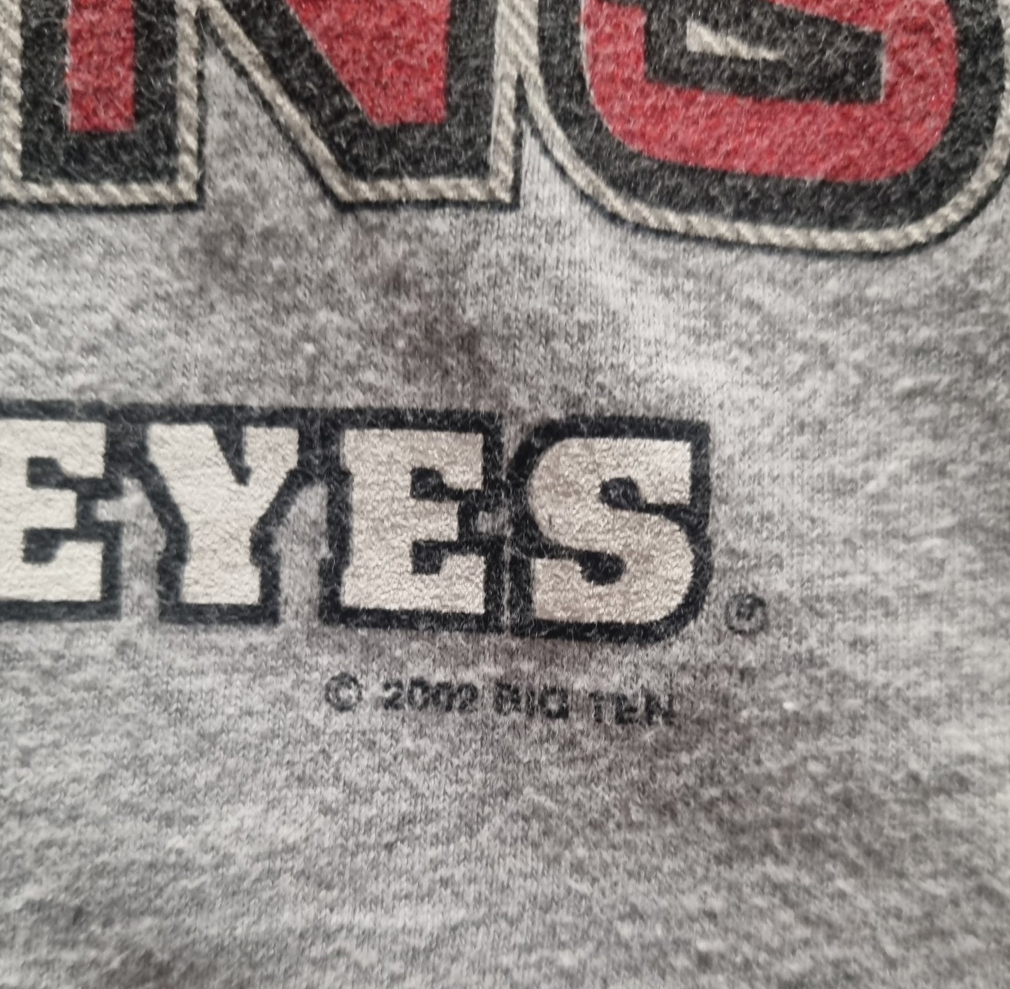 2002 Big Ten Football Ohio State Champions Lee Sport Medium