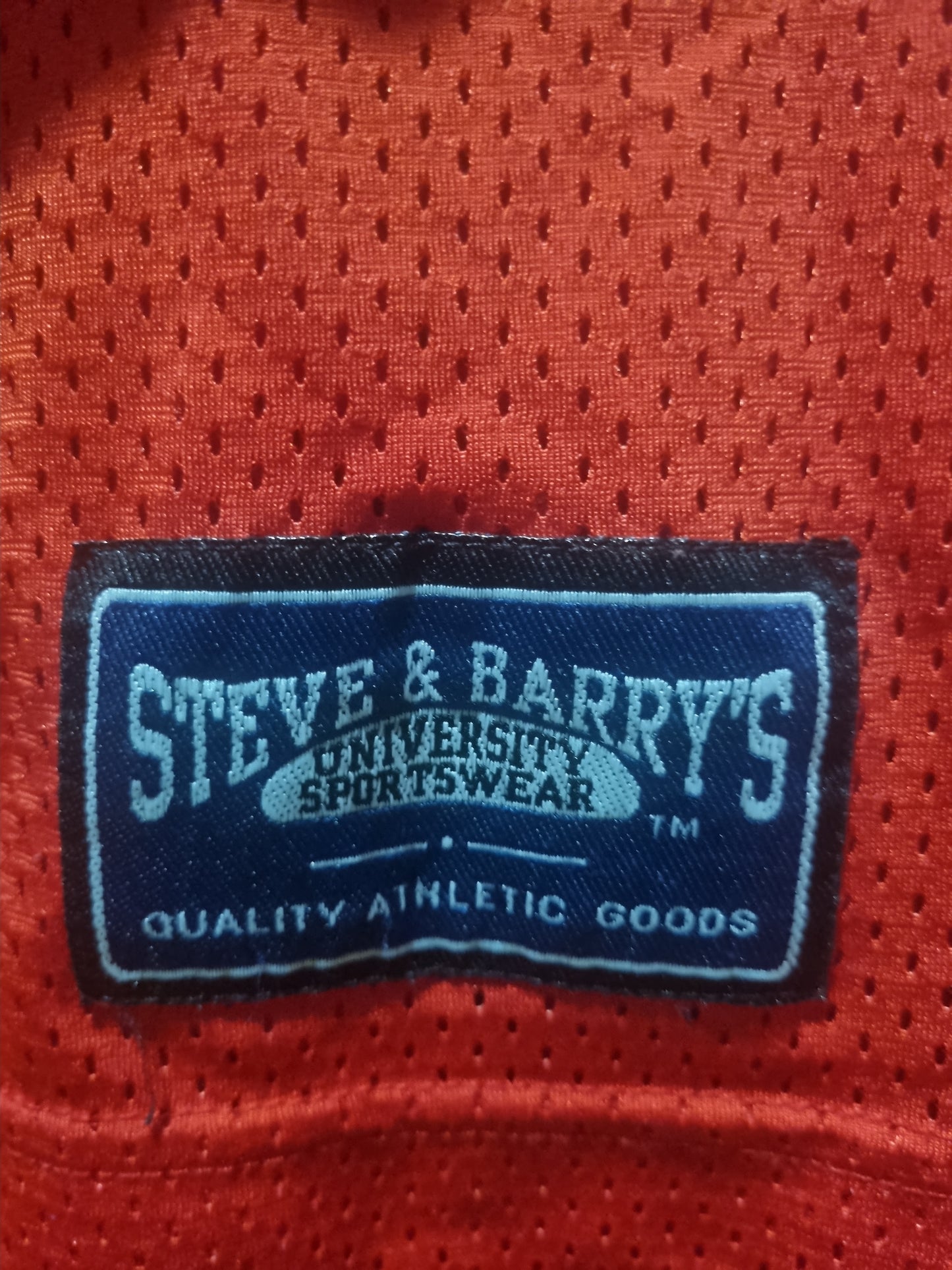 Vintage Wisconsin Badgers Steven and Barry #5 XL