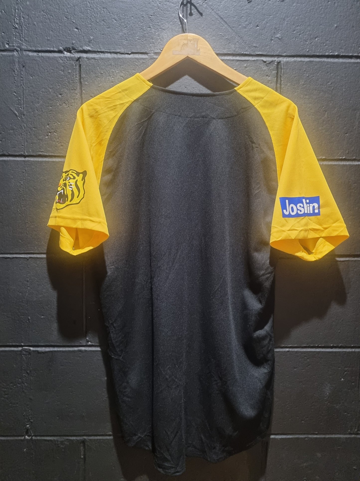 Hanshin Tigers Large