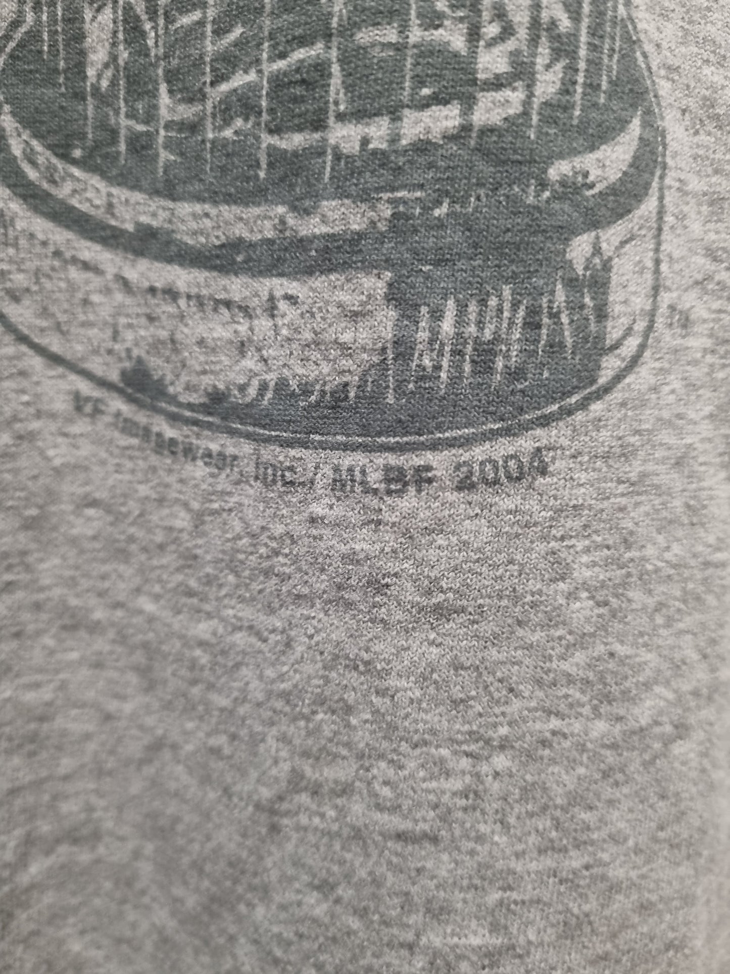 Boston Red Sox World Series Champions Lee Sport 2004 Large