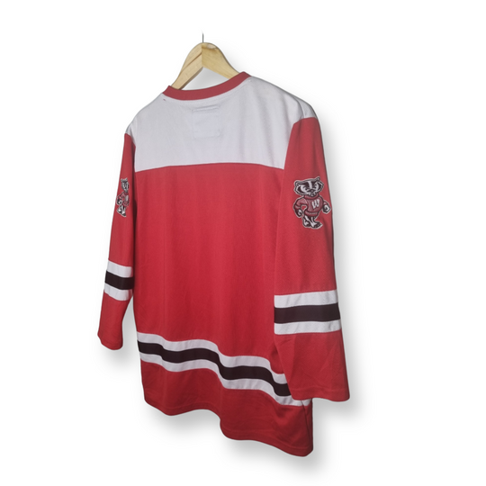 Wisconsin Badgers Small