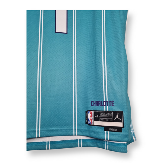 Charlotte Hornets 1 Ball Medium