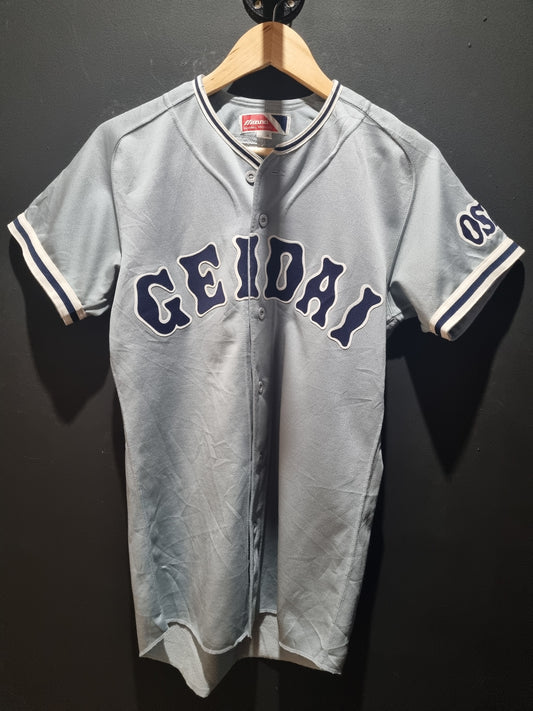 Geidai Mizuno Medium
