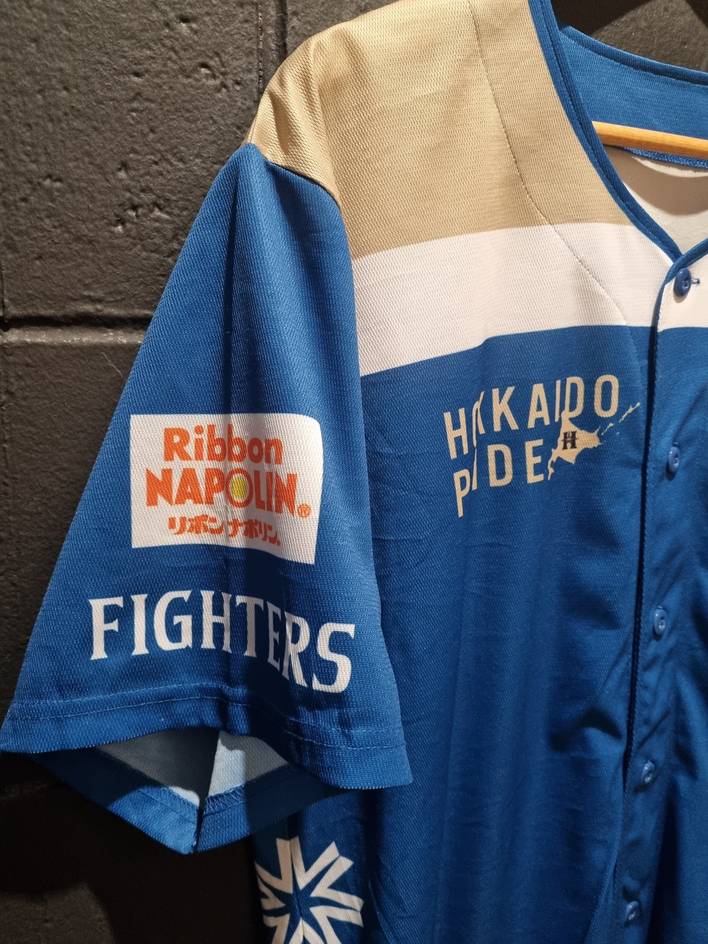Levanga Hokkaido Basketball Team Large