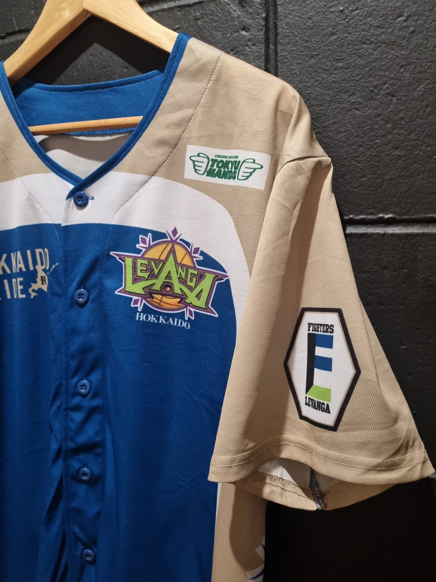 Levanga Hokkaido Basketball Team Large