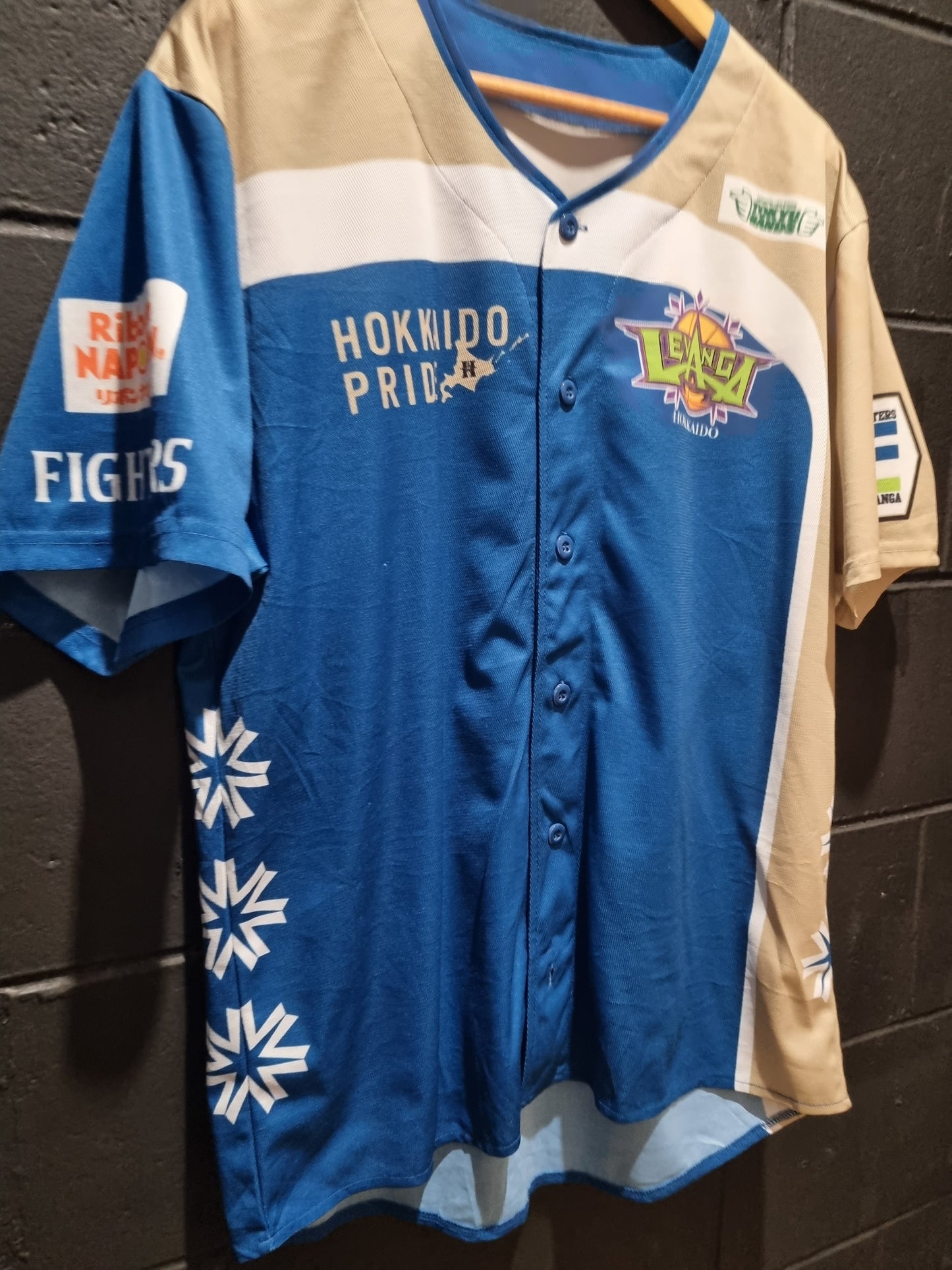 Levanga Hokkaido Basketball Team Large