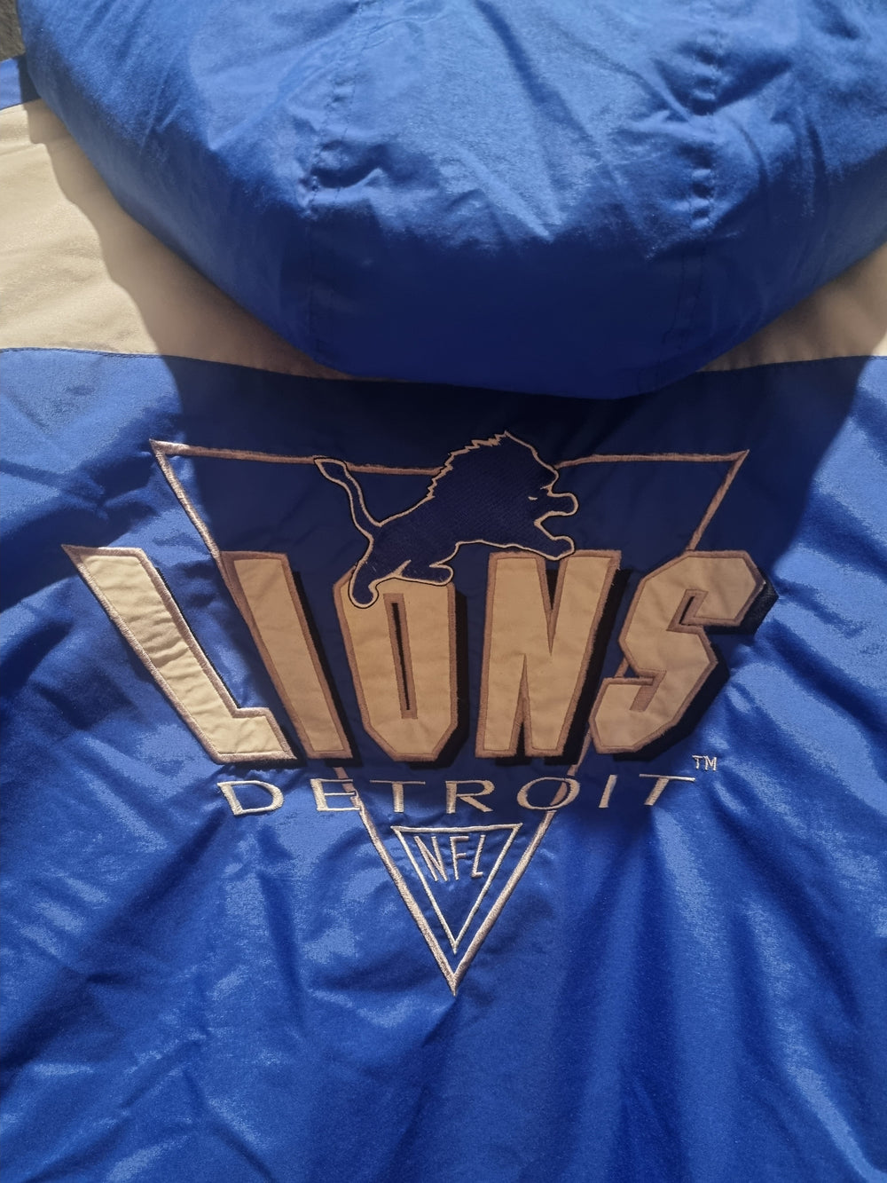 Detroit Lions Logo7 Large
