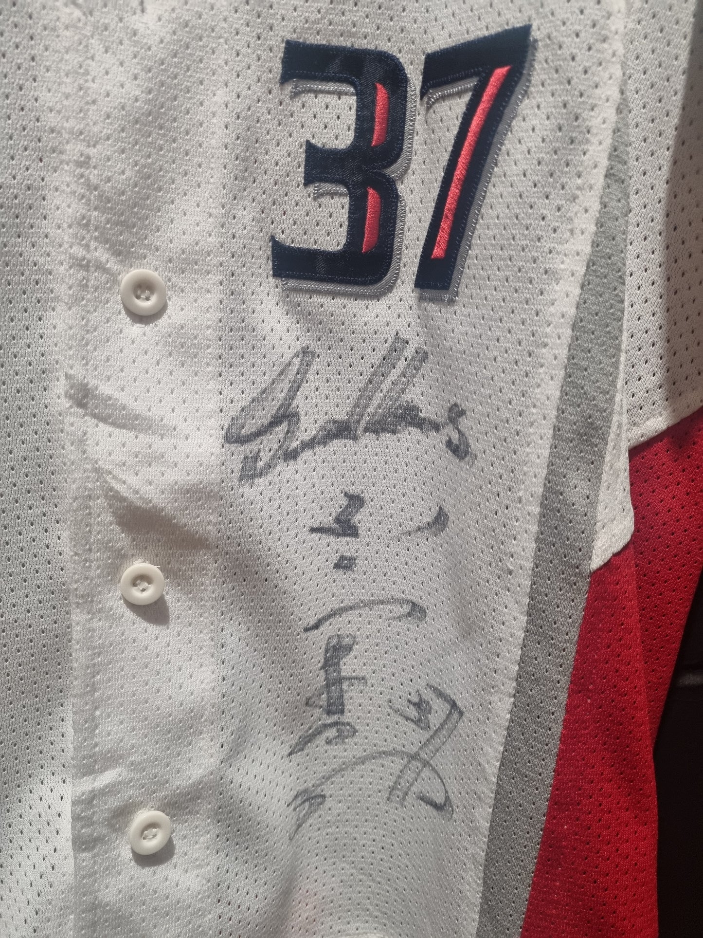 Tokyo Swallows Signed Fukukawa XL