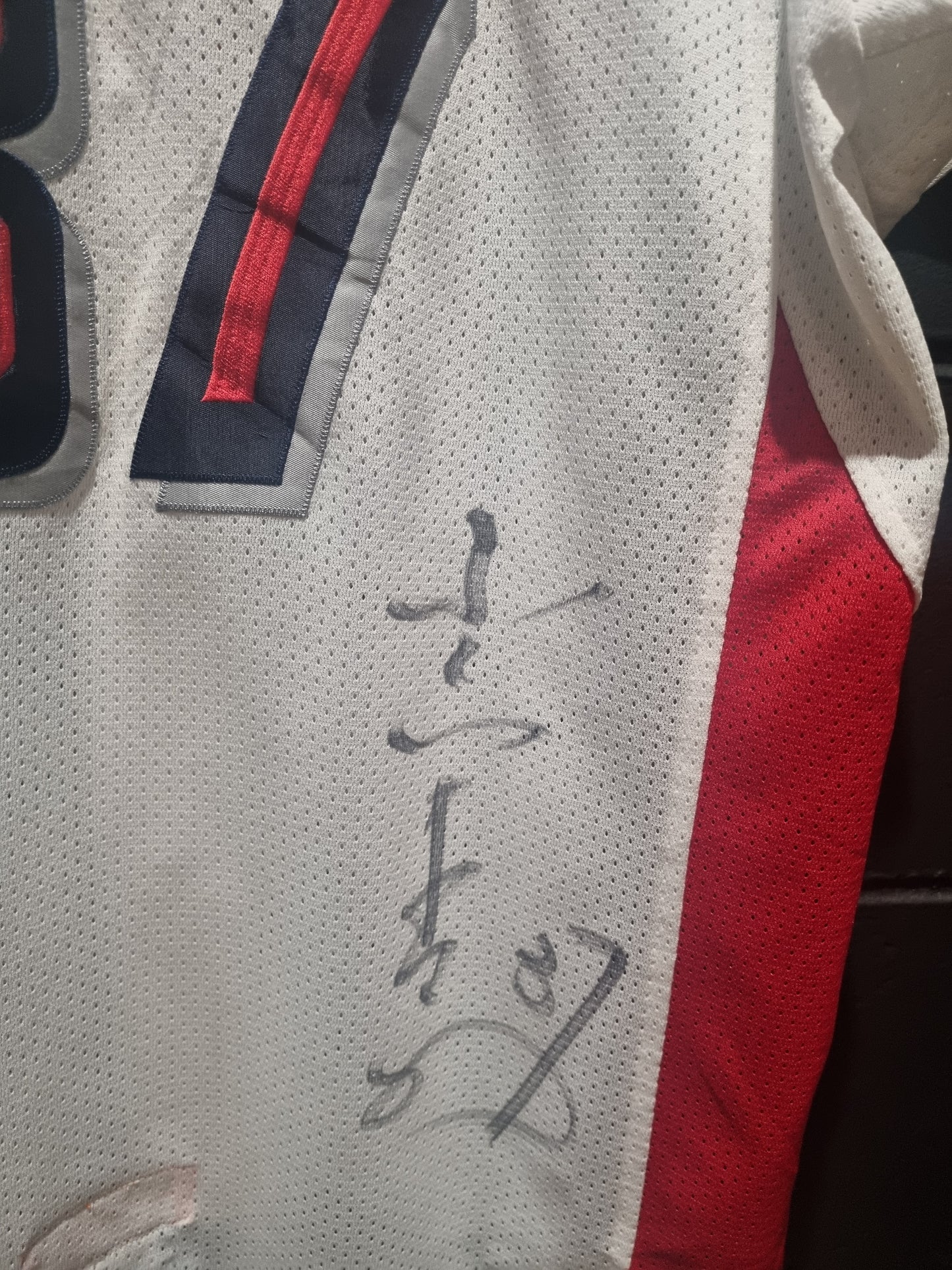 Tokyo Swallows Signed Fukukawa XL