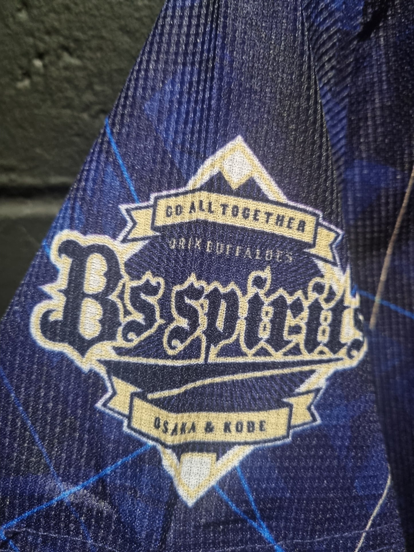 Orix Buffaloes Descente Large