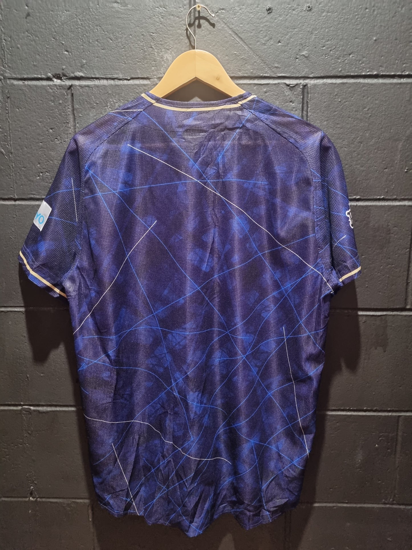 Orix Buffaloes Descente Large