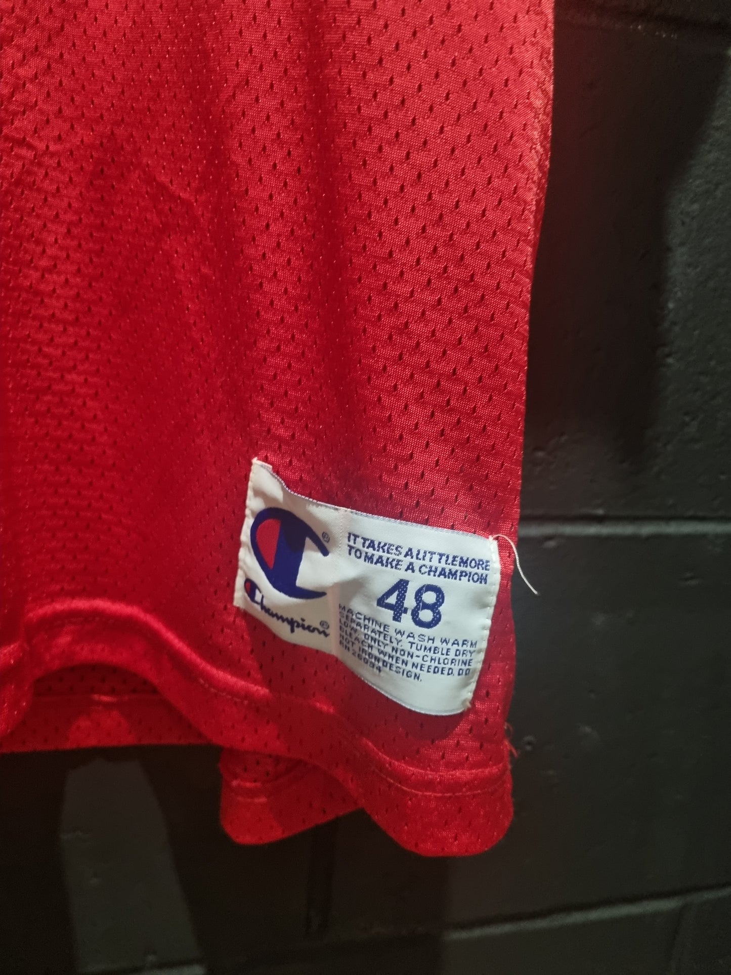 True Vintage Tampa Bay Buccanners Alstott Champion XL