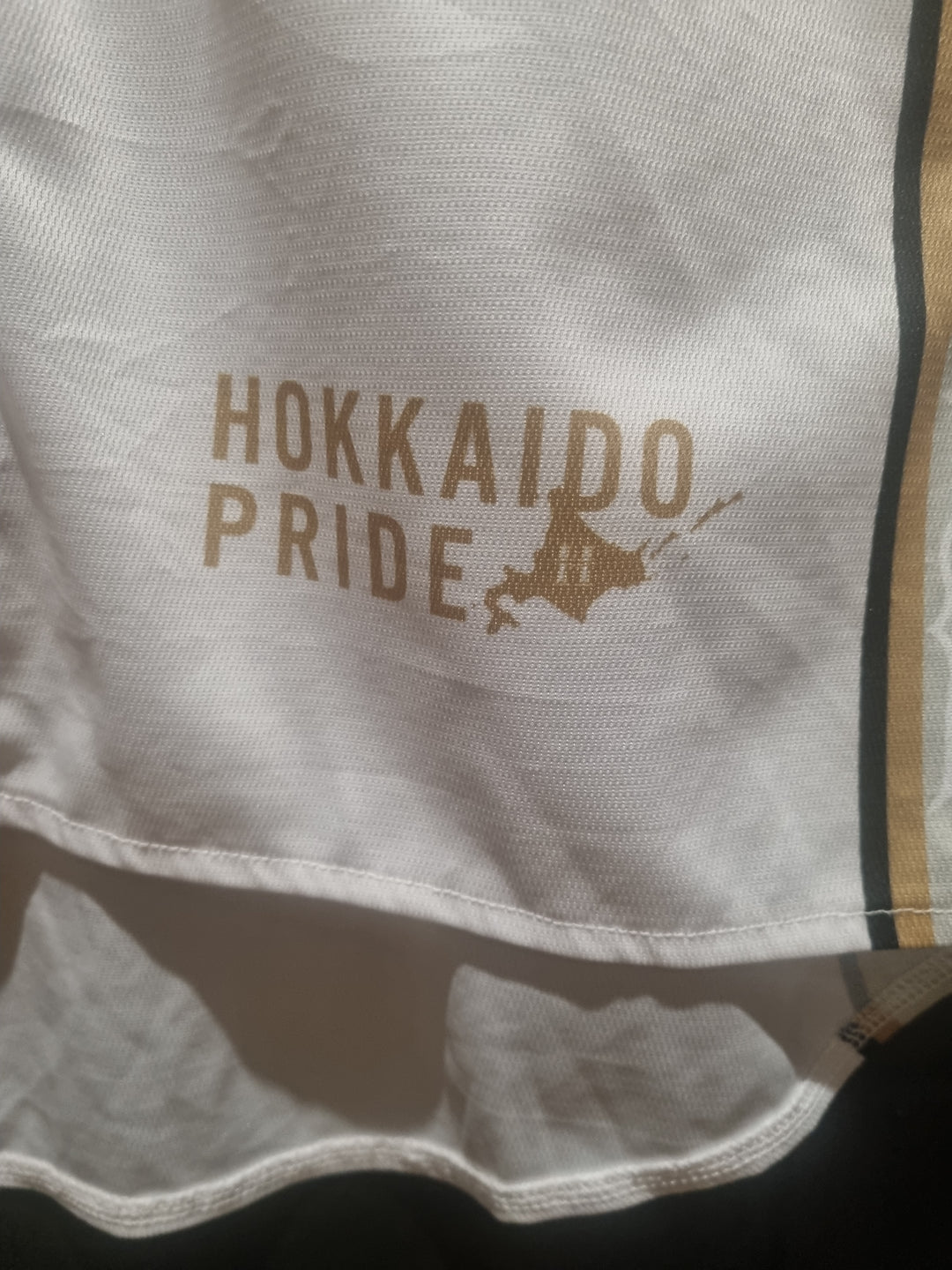 Nippon Ham Fighters Hokkaido Pride 2020 Large