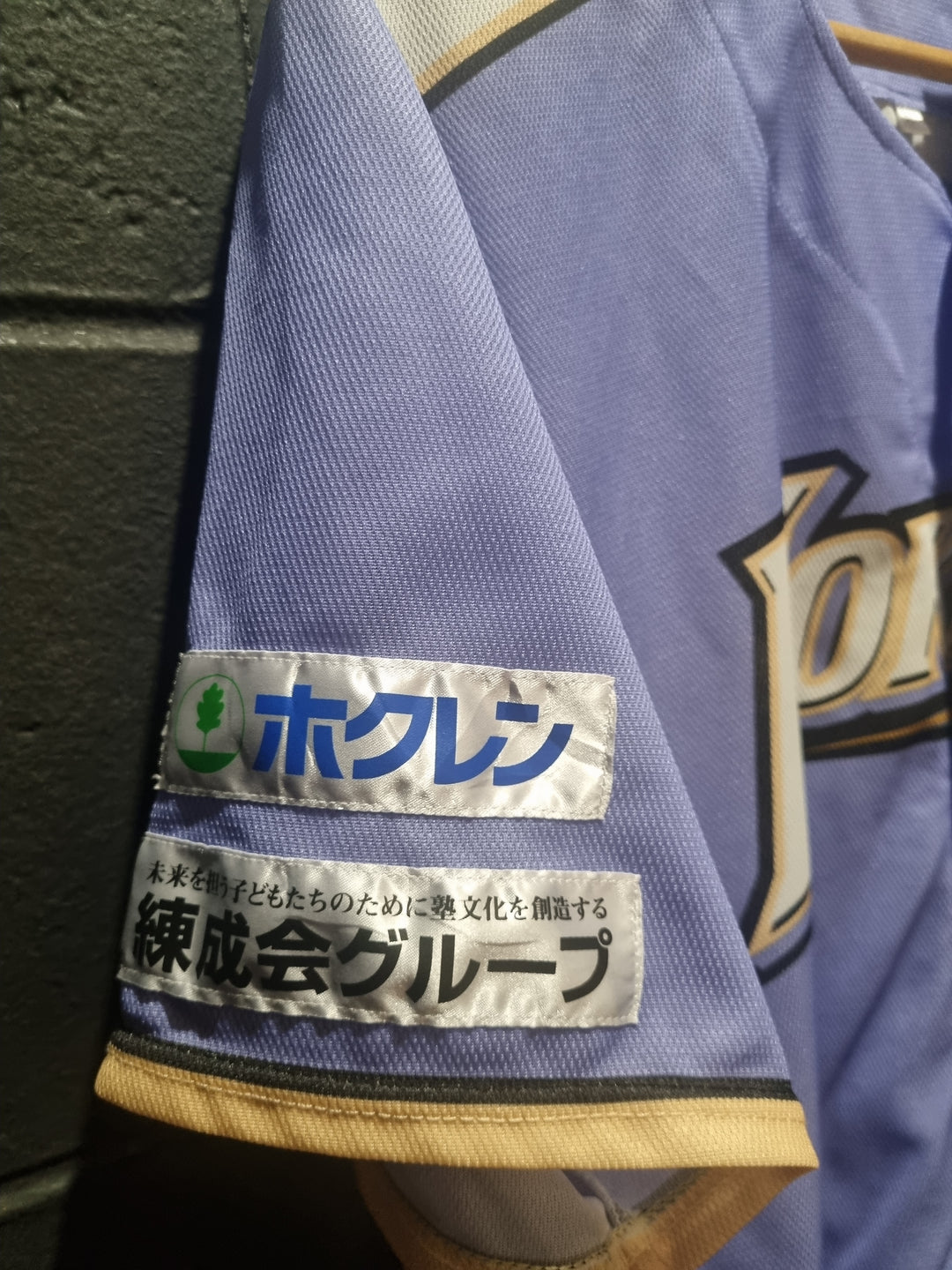 Nippon Ham Fighters Hokkaido Large