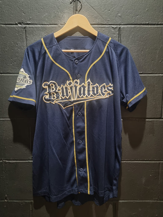 Orix Buffaloes Go All Together Large