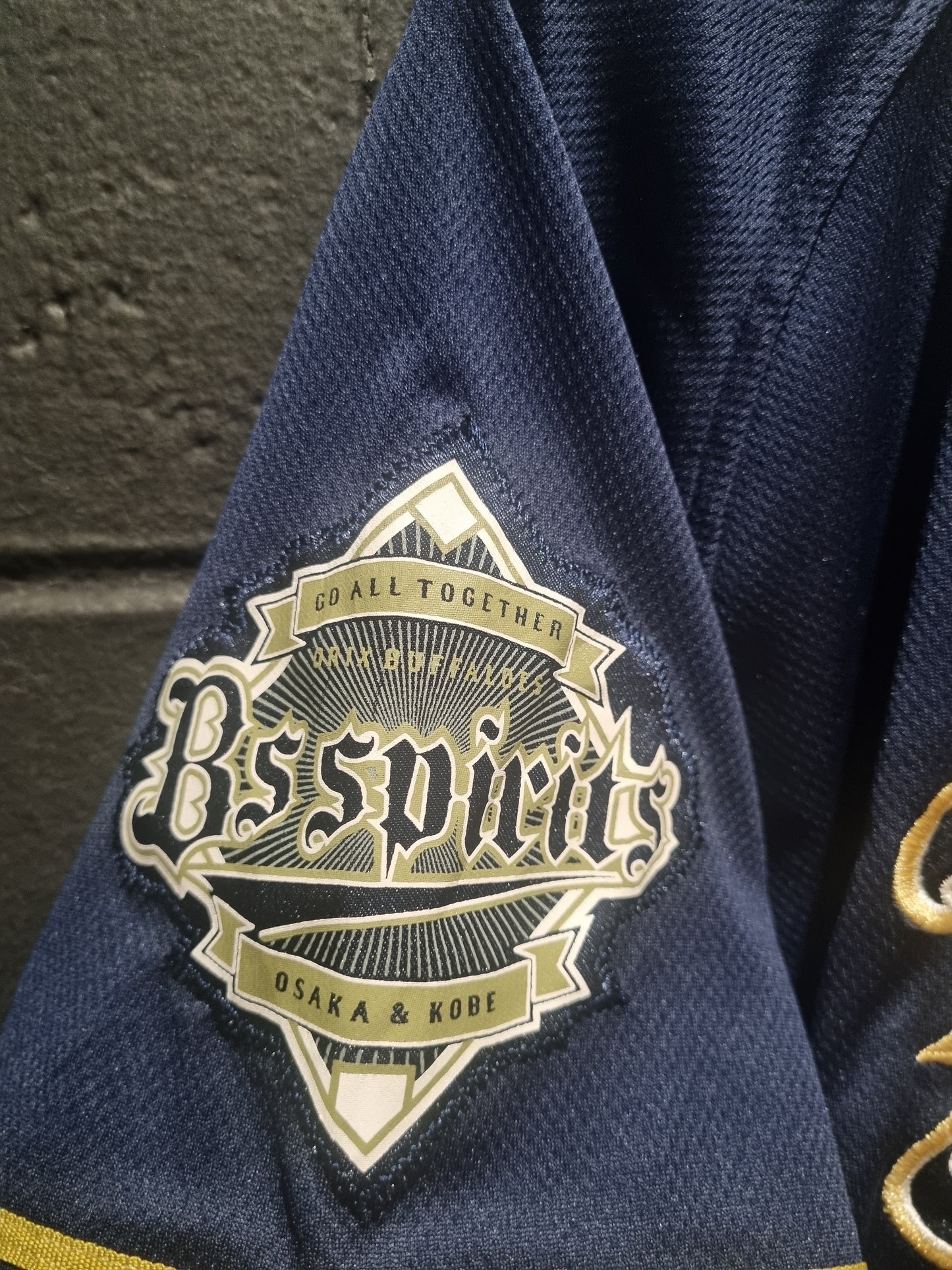 Orix Buffaloes Go All Together Large