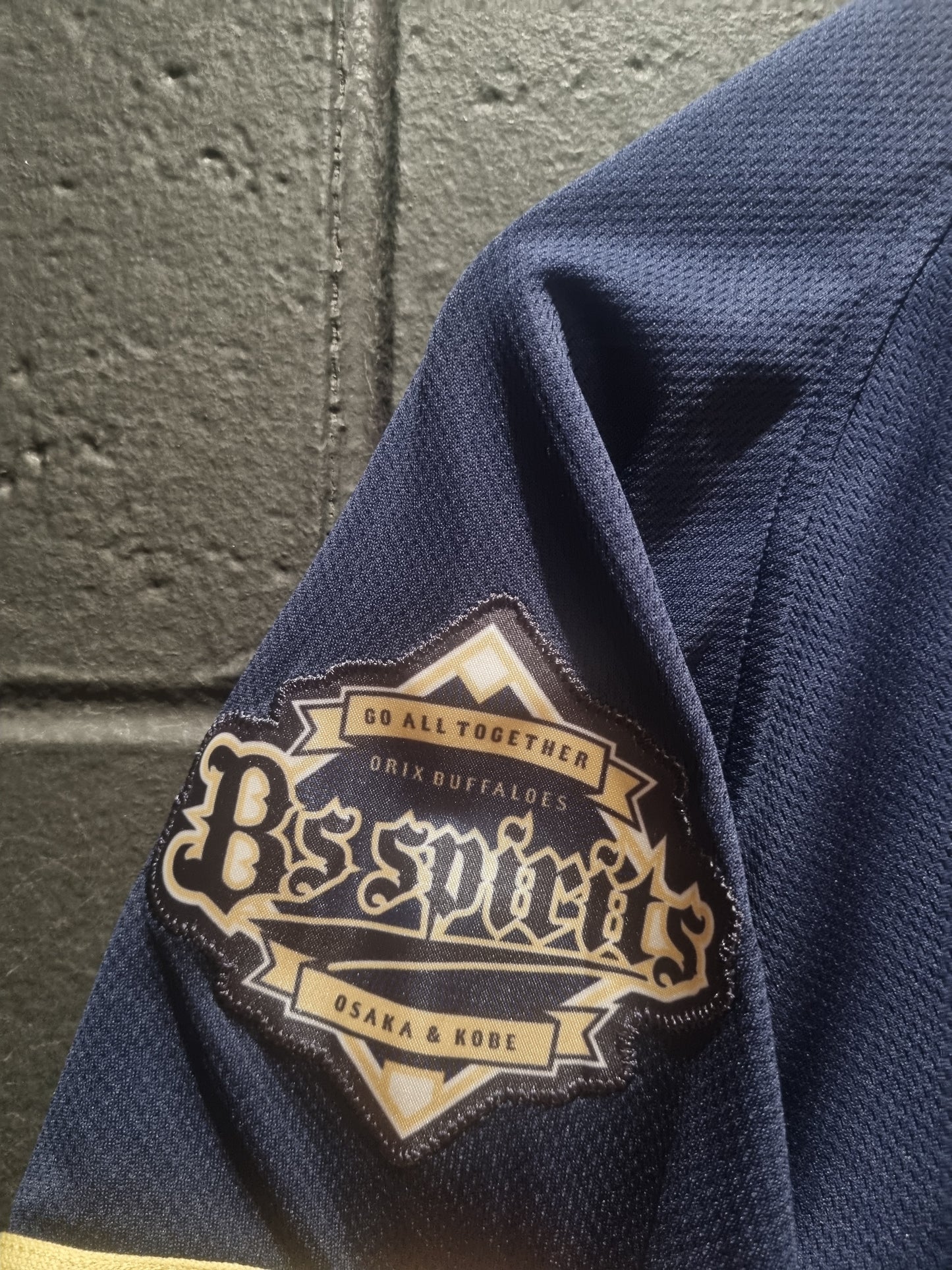 Orix Buffaloes Descente Medium