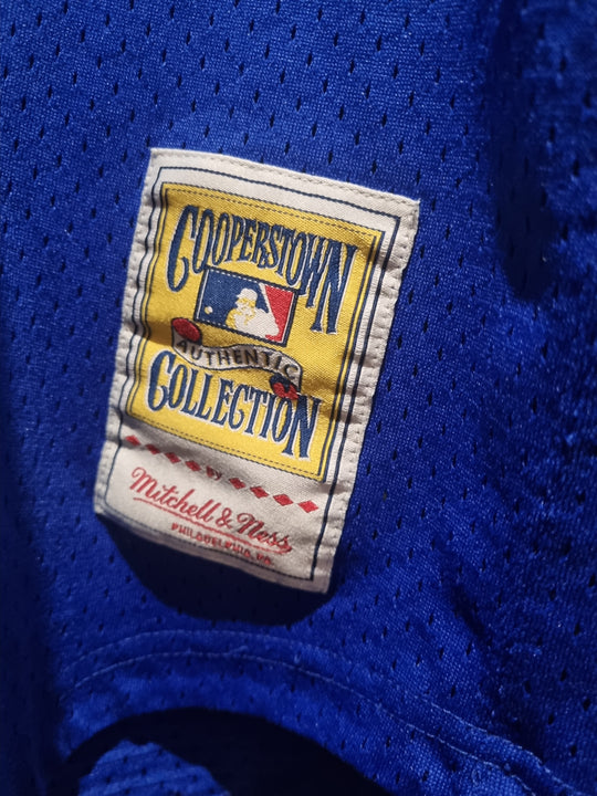 Mitchell & Ness Joe Carter Royal Toronto Blue Jays 1993 Authentic Cooperstown Collection Mesh Batting Practice Jersey XL