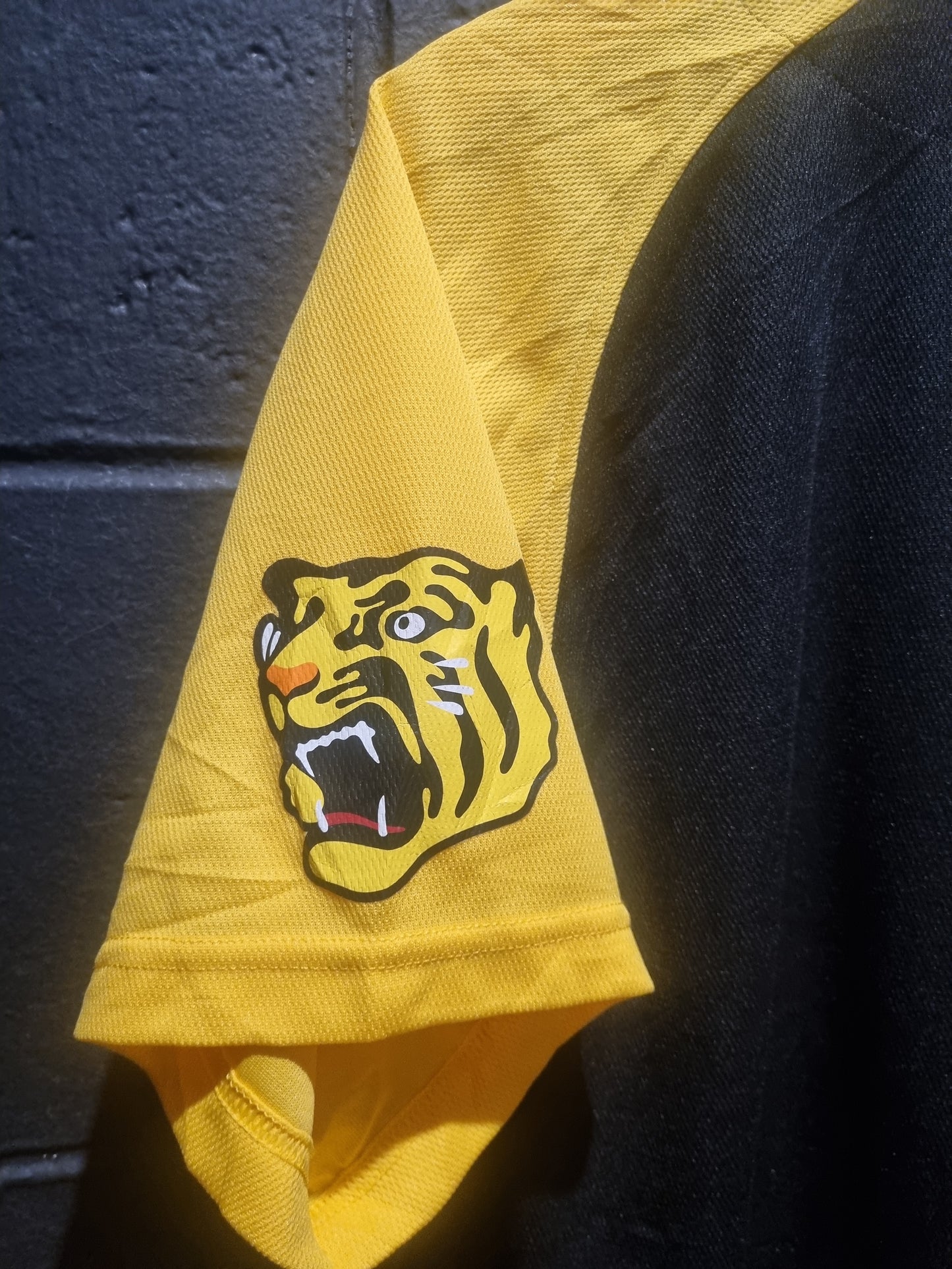 Hanshin Tigers Large