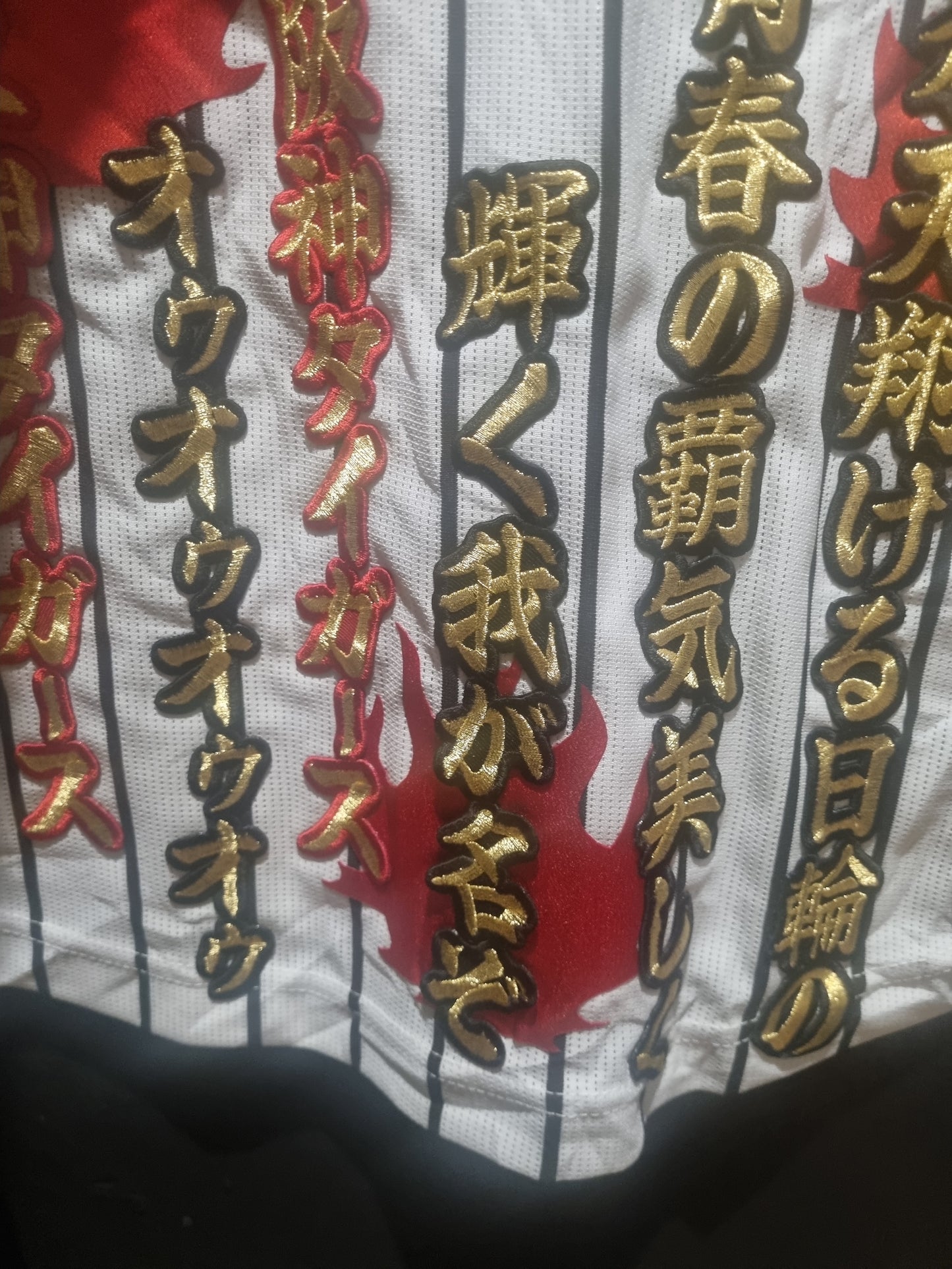 Rare Hanshin Tigers Central League Champions Large