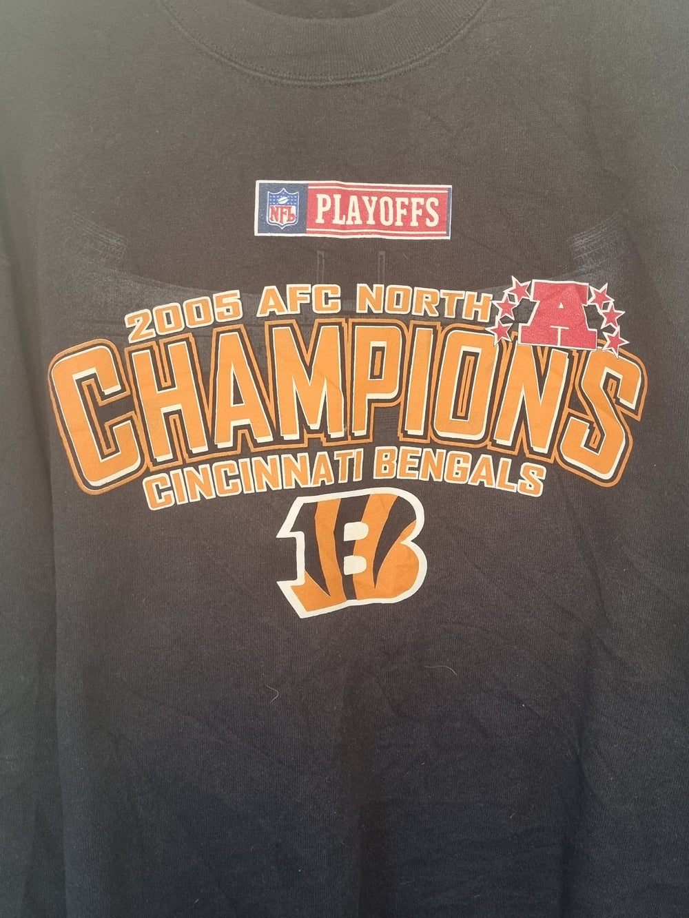 Cincinnati Bengals 2005 Playoffs Large