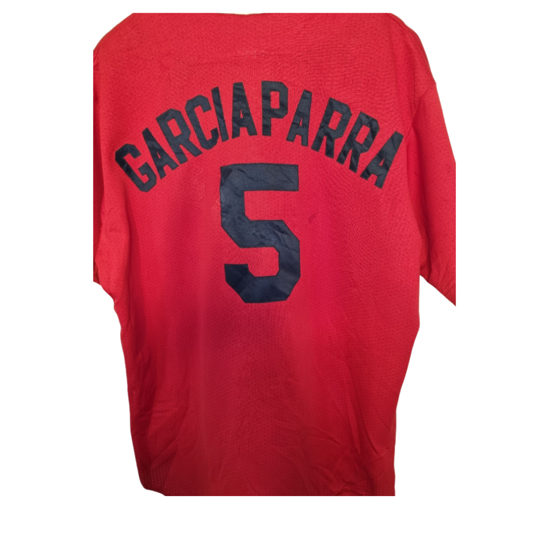 Boston Red Sox GarciaParra